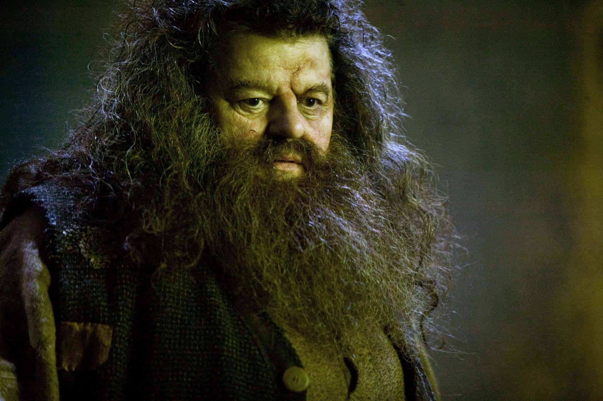 Rubeus Hagrid Facts