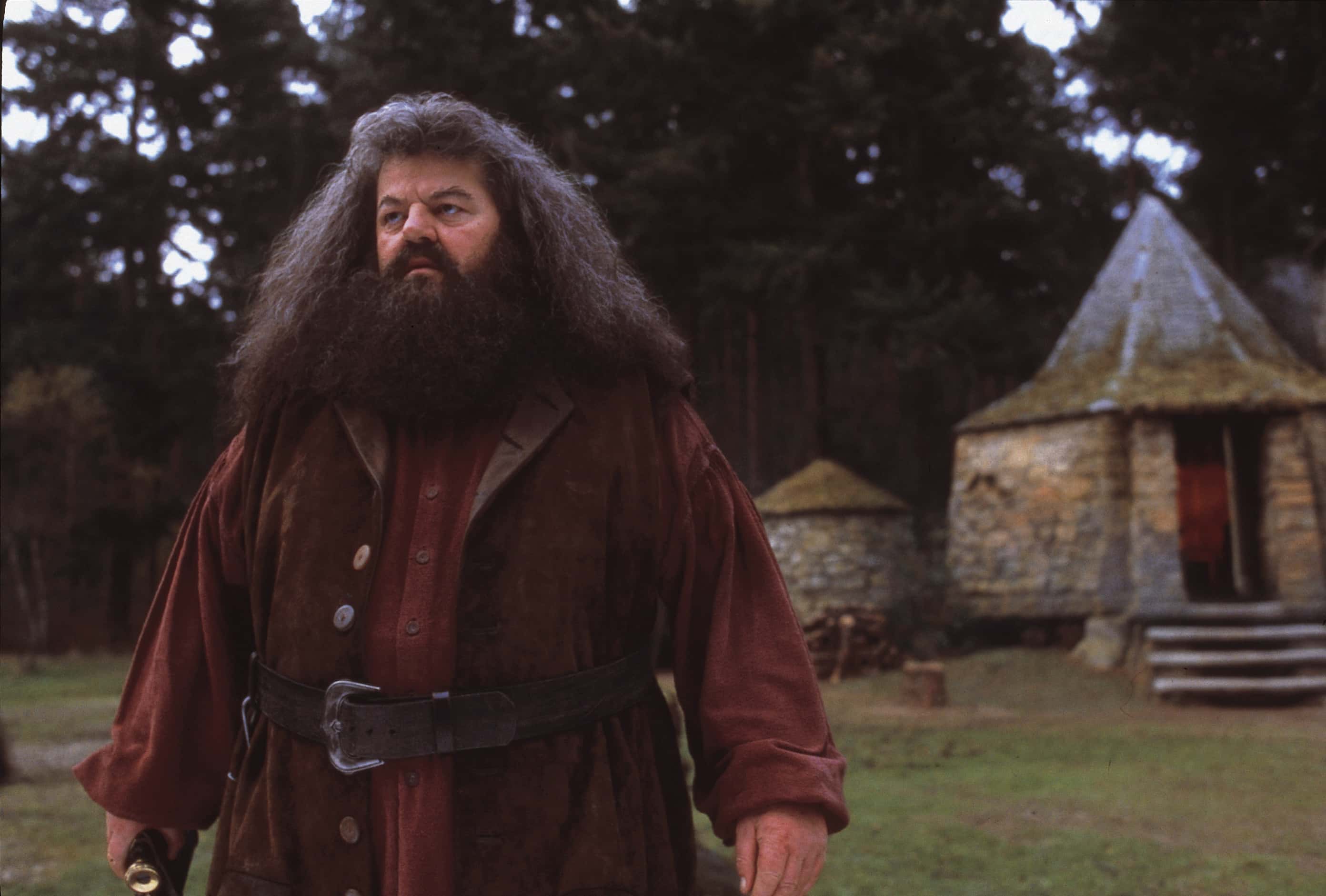Rubeus Hagrid Facts