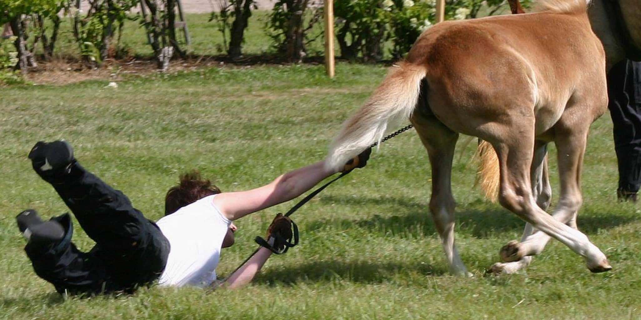 Unusual Deaths of Rulers Facts