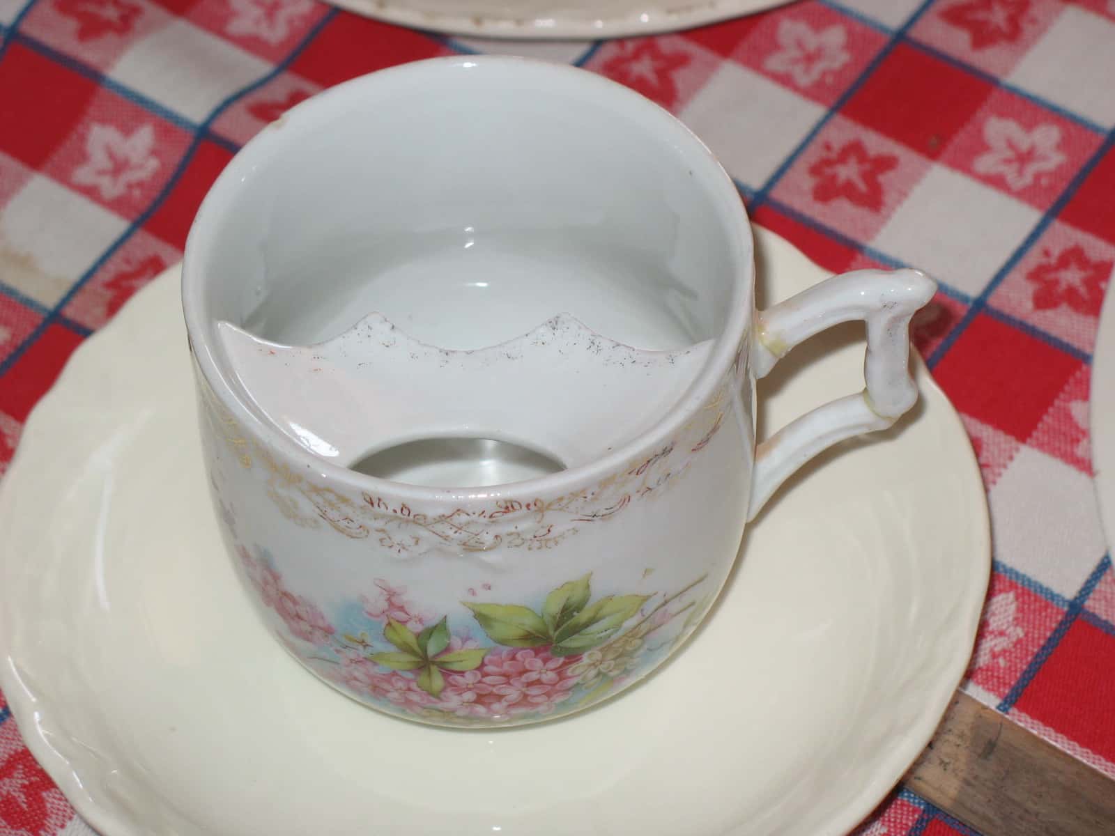 Bizarre History Facts