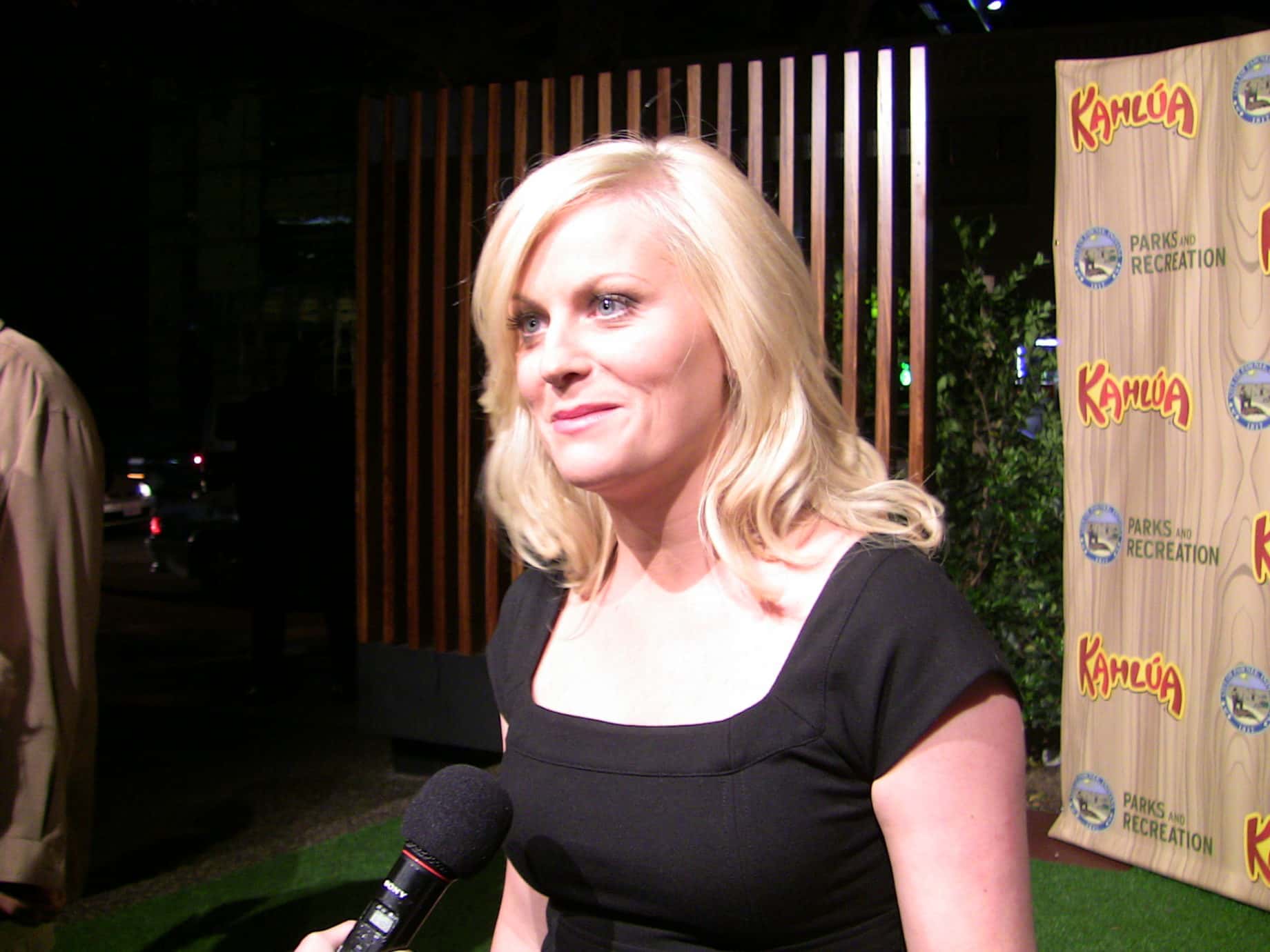 Amy Poehler during an interview