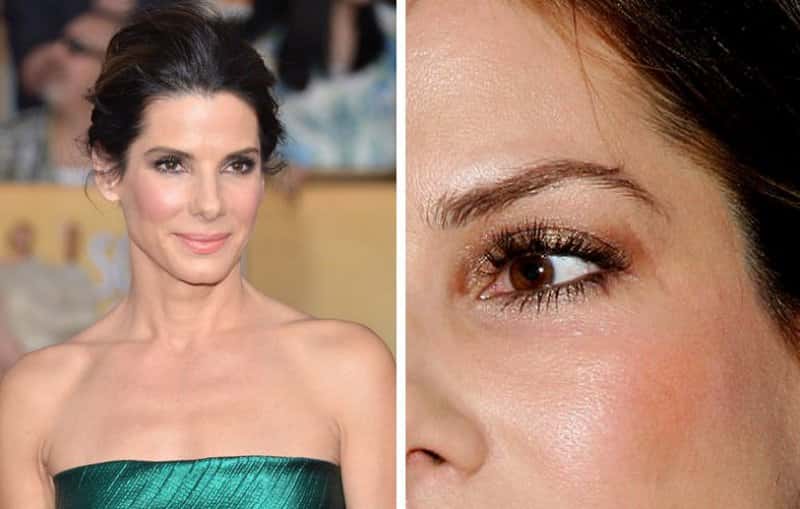 Sandra Bullock facts