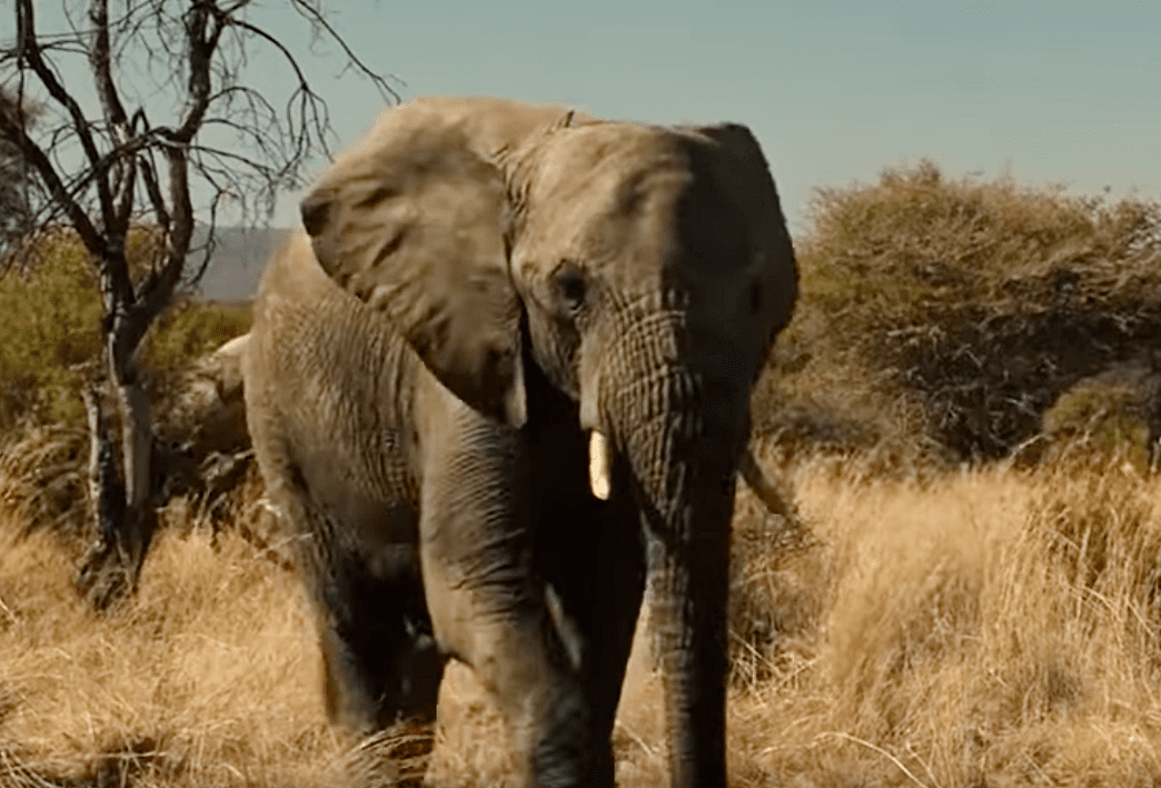 Sacha Baron Cohen Films Facts