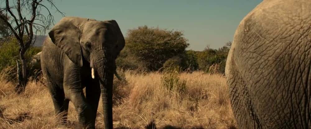 Sacha Baron Cohen Films facts