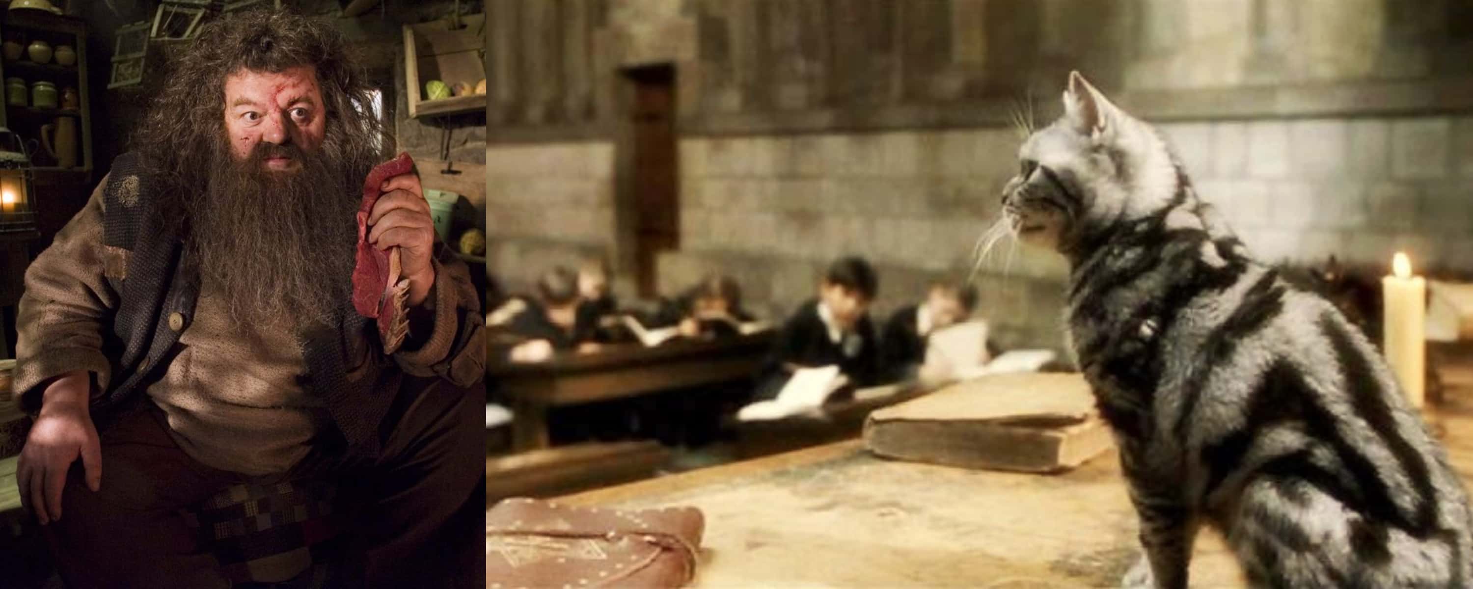 Hagrid Fact Harry Potter