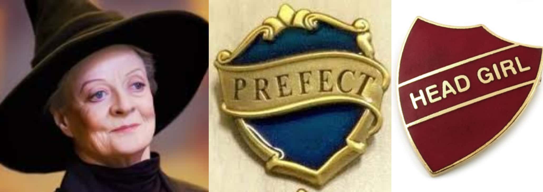 Professor Minerva McGonagall facts