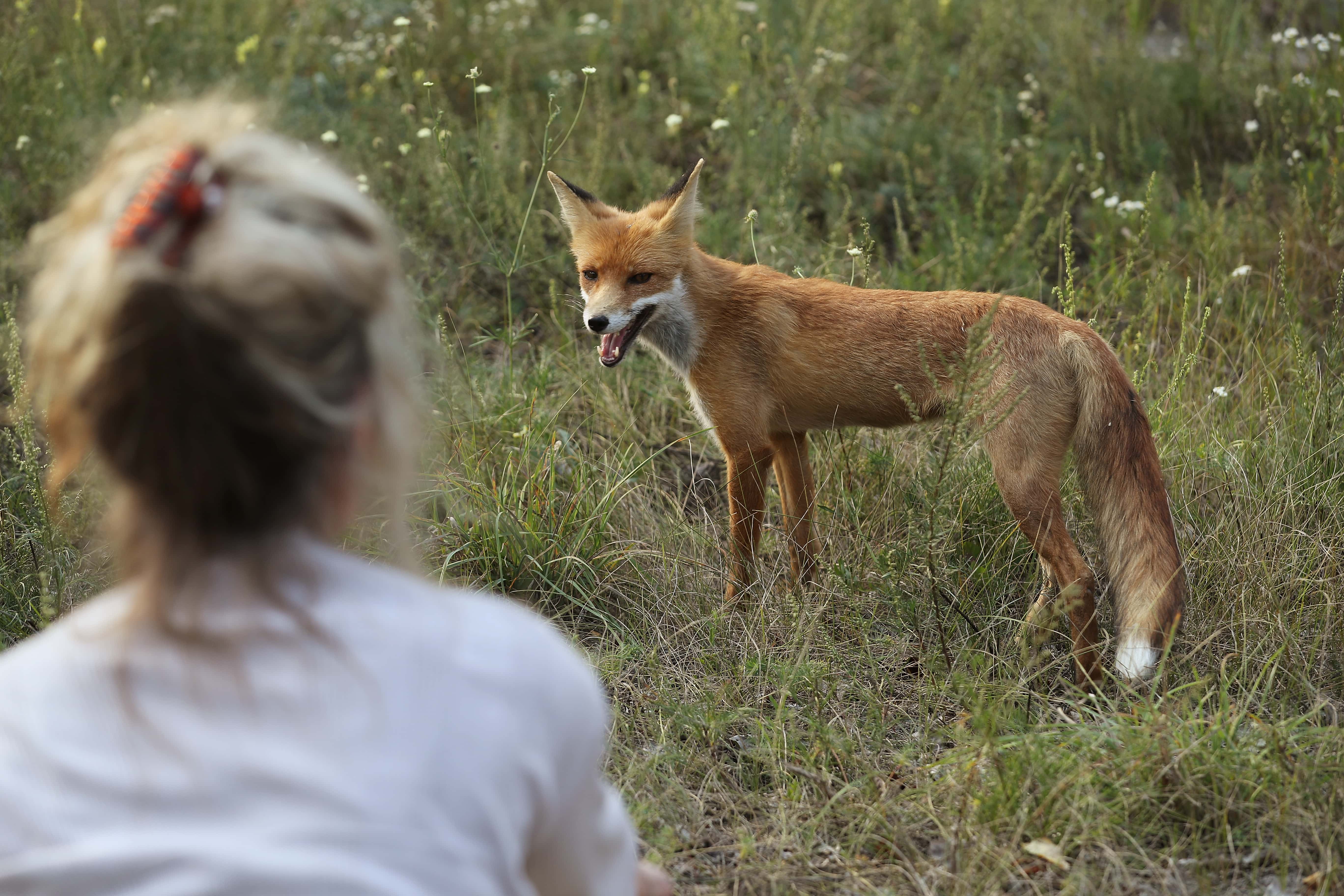 Chernobyl Disaster Facts