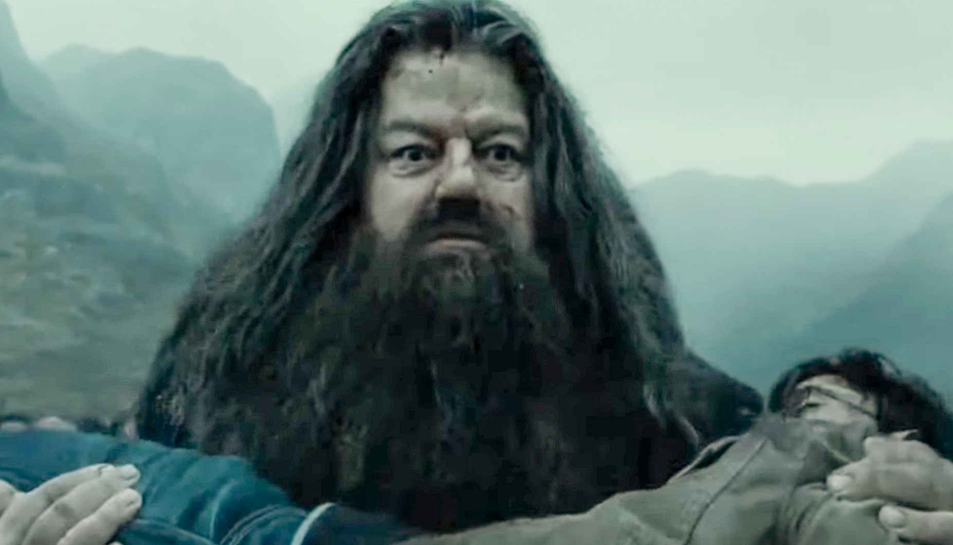 Facts About The Weasleys