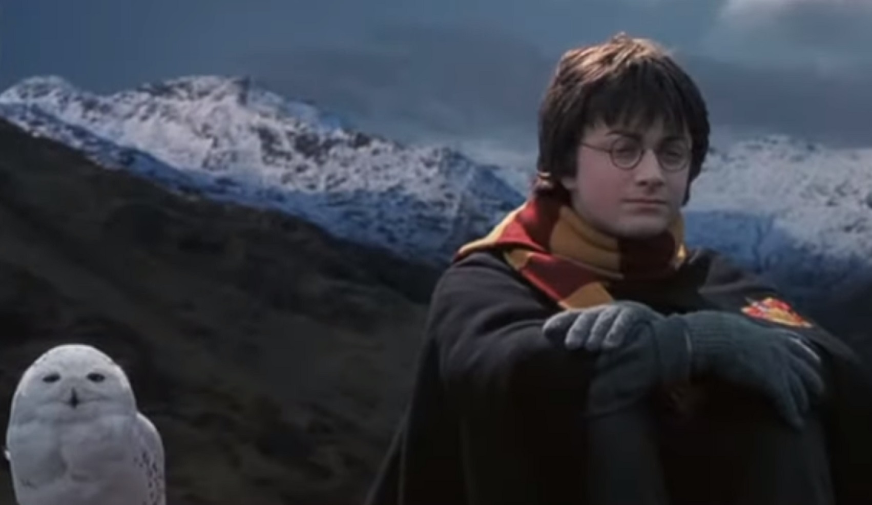 Facts About The Weasleys