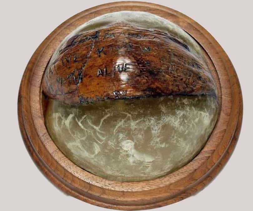 Coconut Shell  John Kennedy