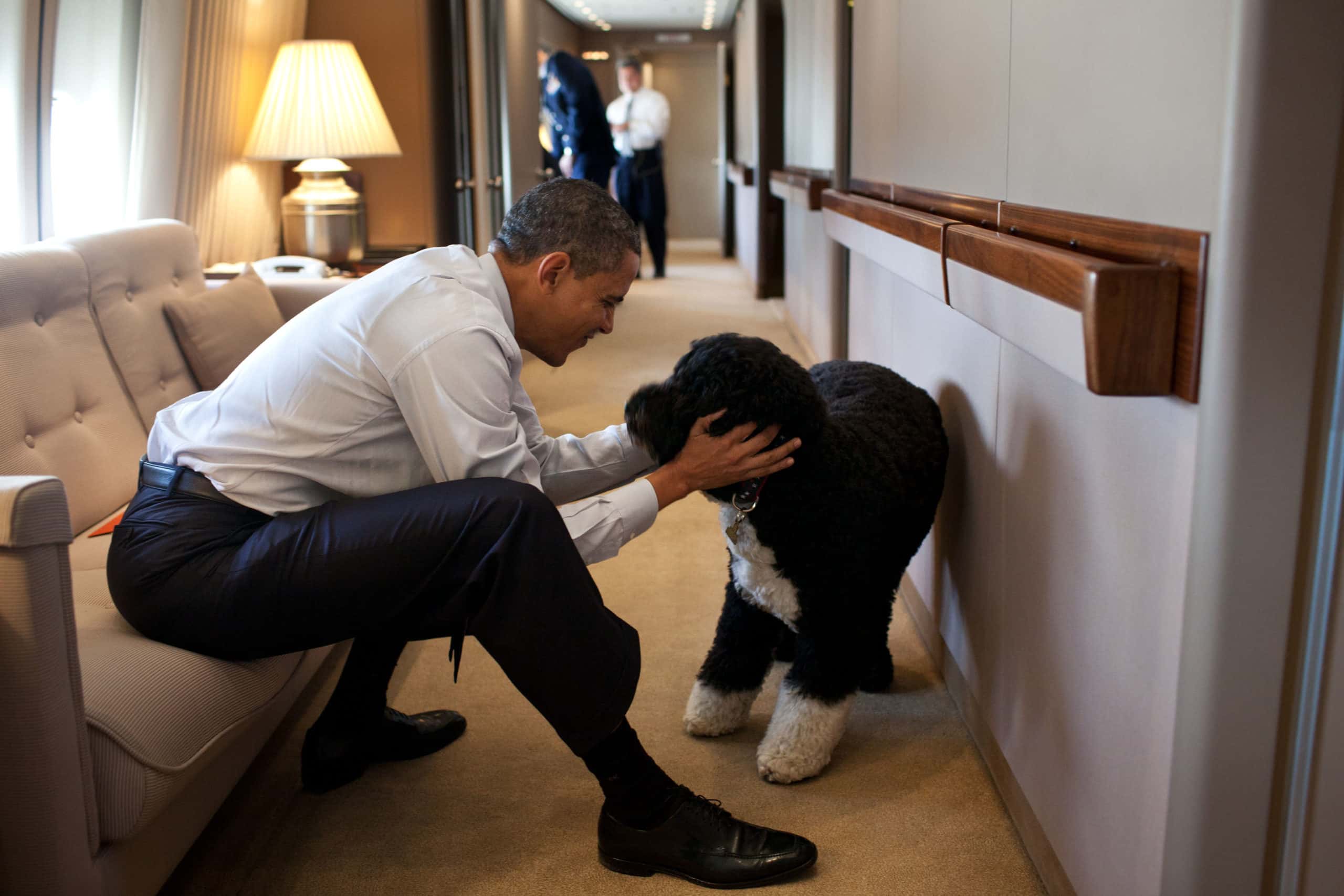 Barack Obama plays with his dog on Airforce One - 2011