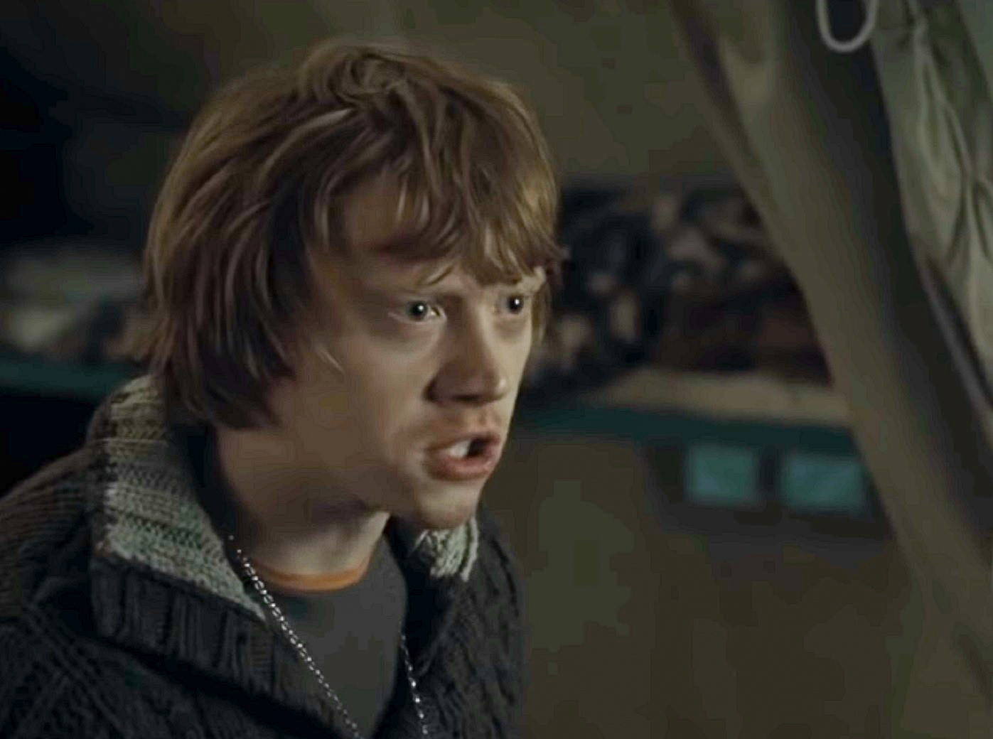 Facts About The Weasleys