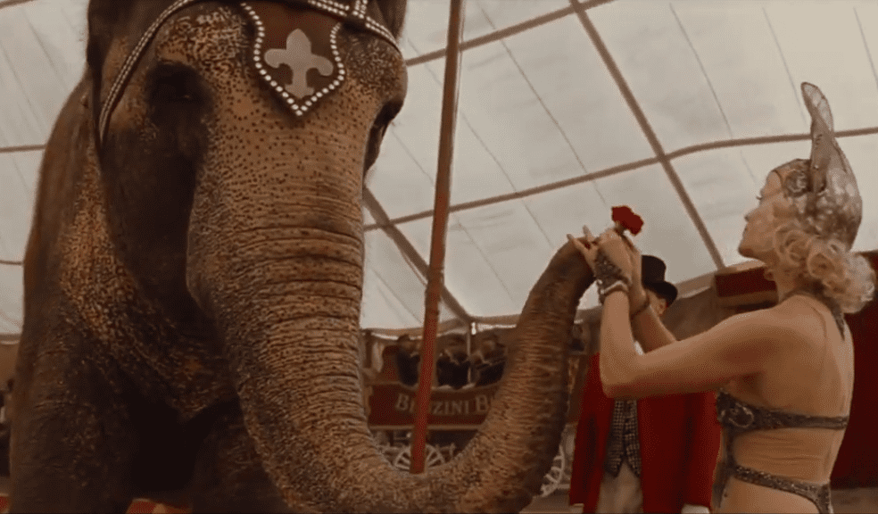 Reese Witherspoon facts