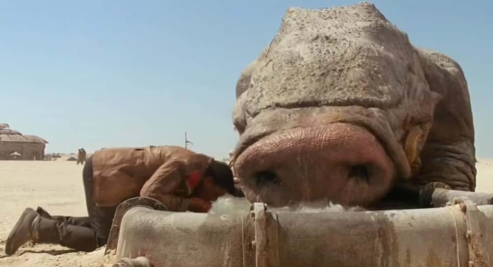 Star Wars: The Force Awakens Facts