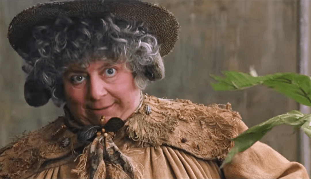 Minerva McGonagall facts