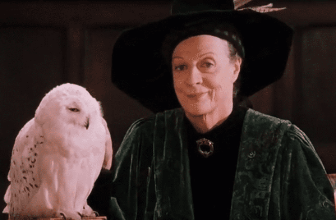 Minerva McGonagall facts