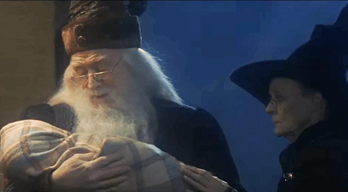 Minerva McGonagall facts