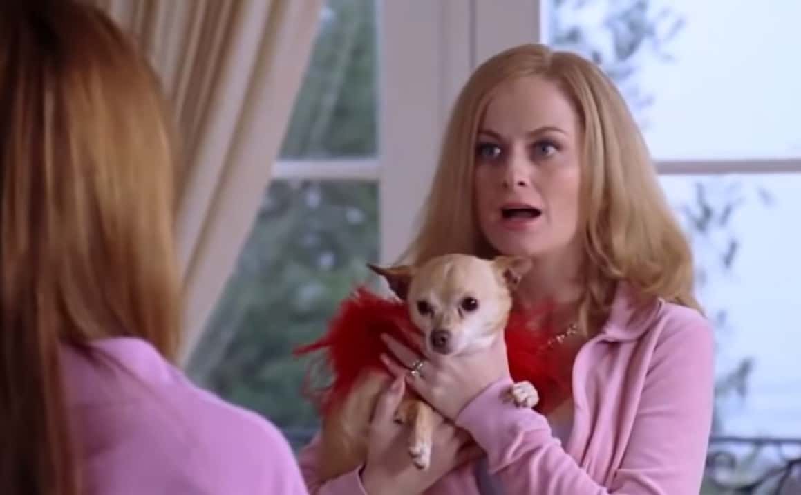 Screenshot of the movie Mean Girls