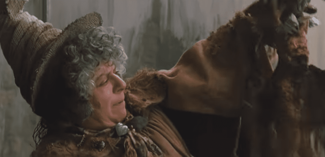 Hogwarts Professors Facts