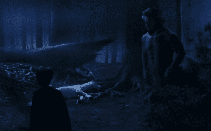 Hogwarts Professors Facts