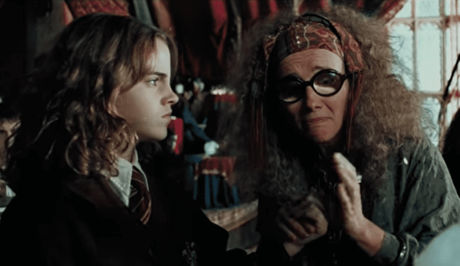 Hogwarts Professors Facts