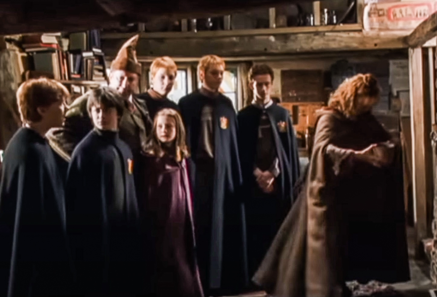 Facts About The Weasleys