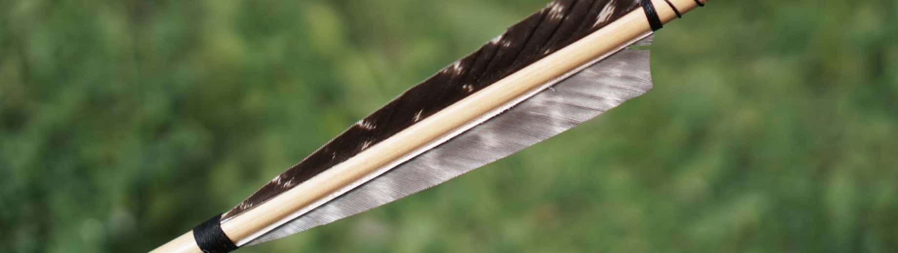 26 Facts About The Gruesome Deaths Of Historical Rulers Factinate