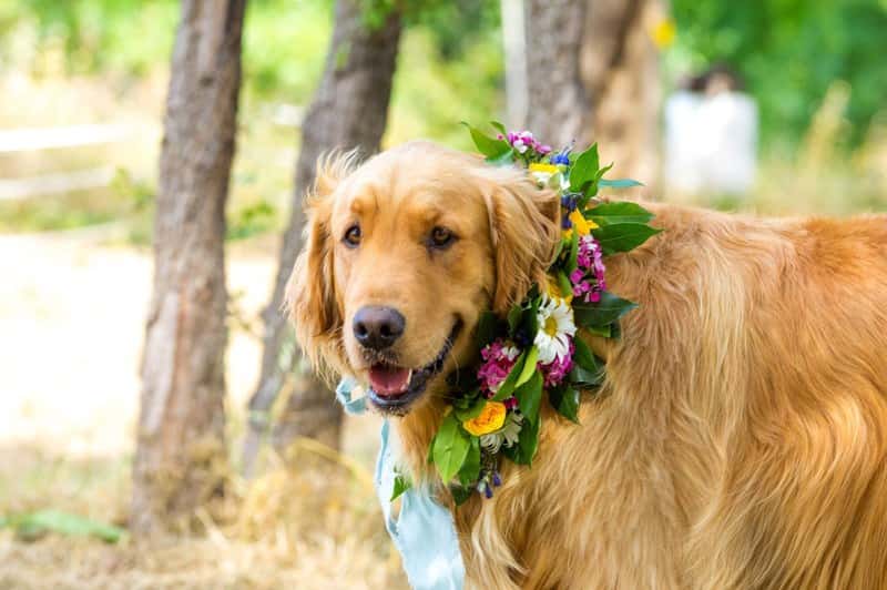 The Persian Empire Facts