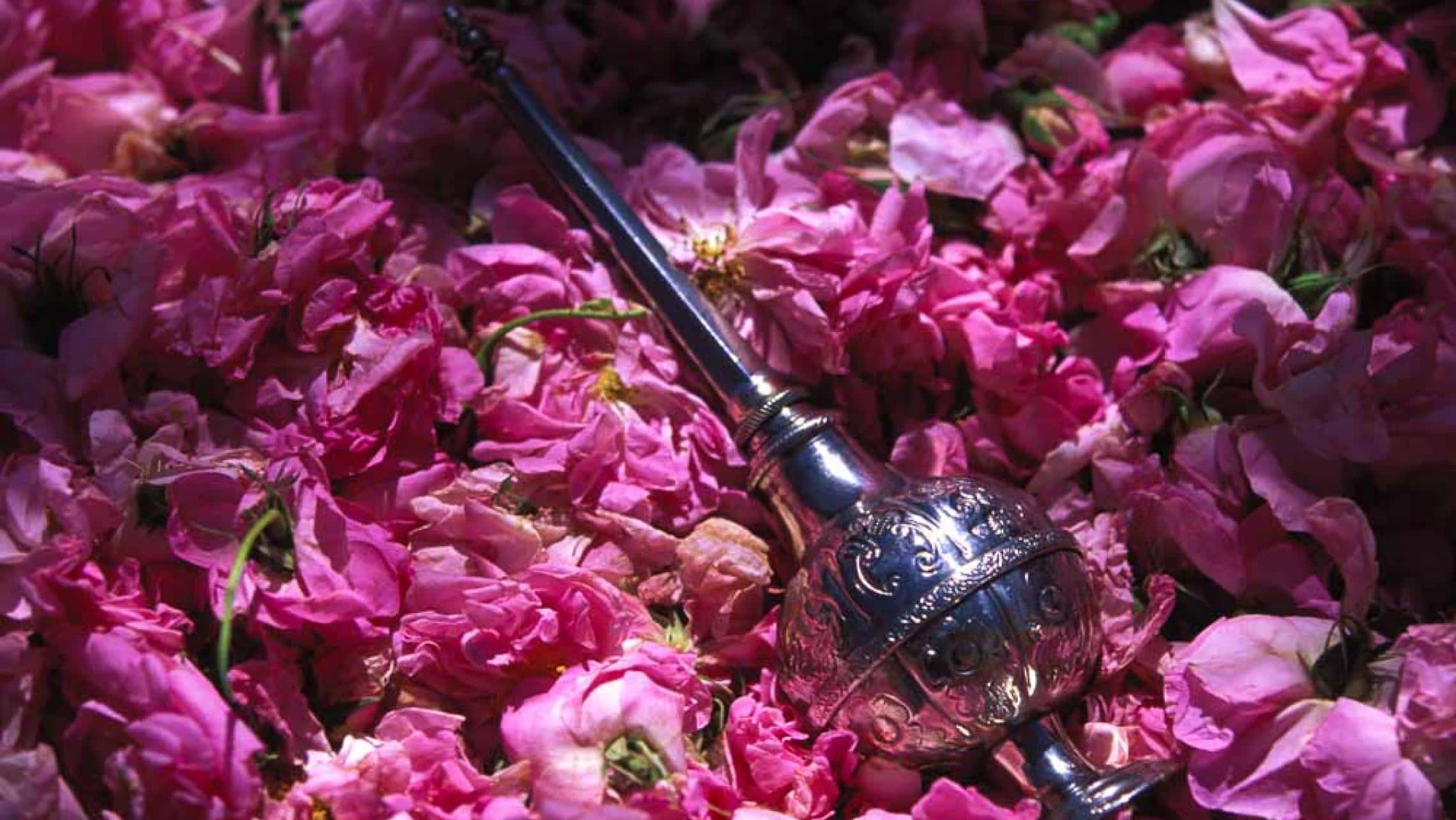 The Persian Empire Facts