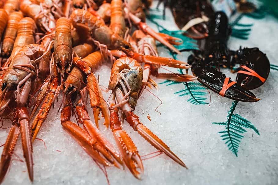 Strange Phenomena facts