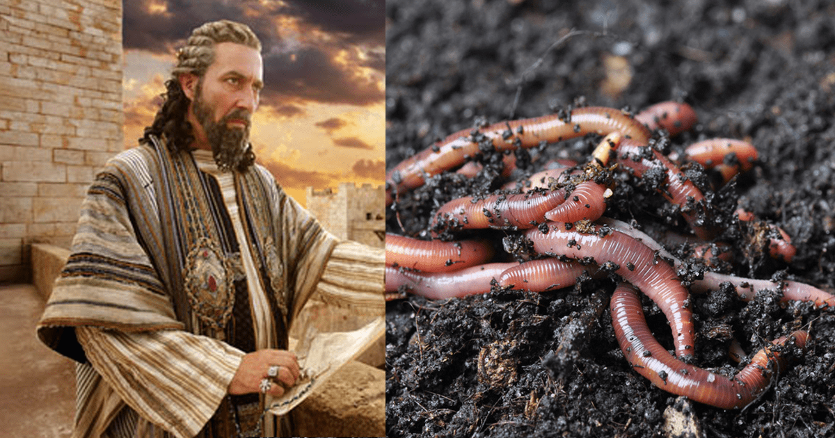 26 Facts About The Gruesome Deaths Of Historical Rulers Factinate