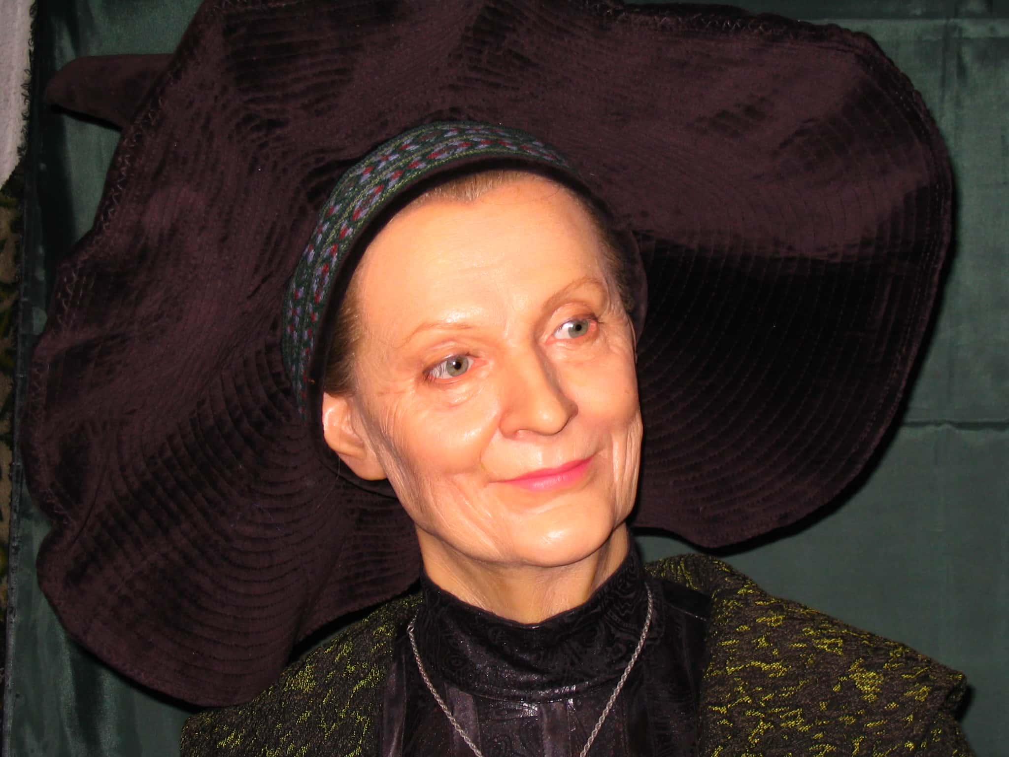 Professor Minerva McGonagall facts