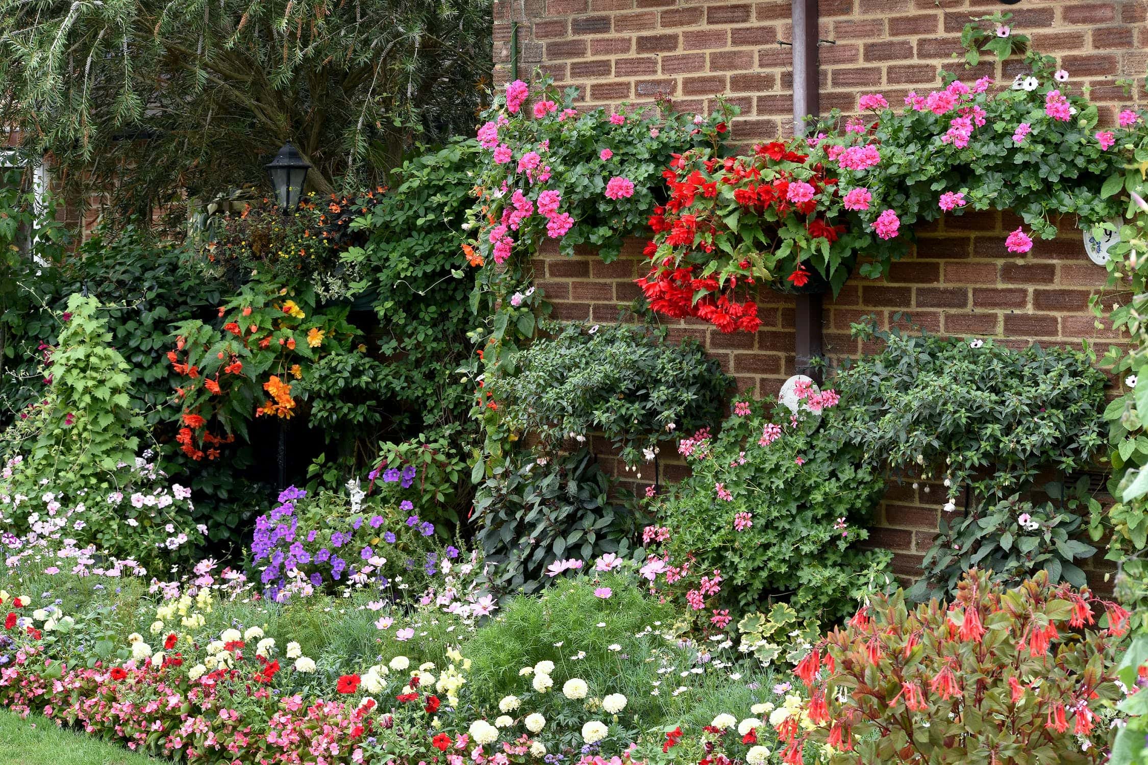 Audrey Hepburn Facts