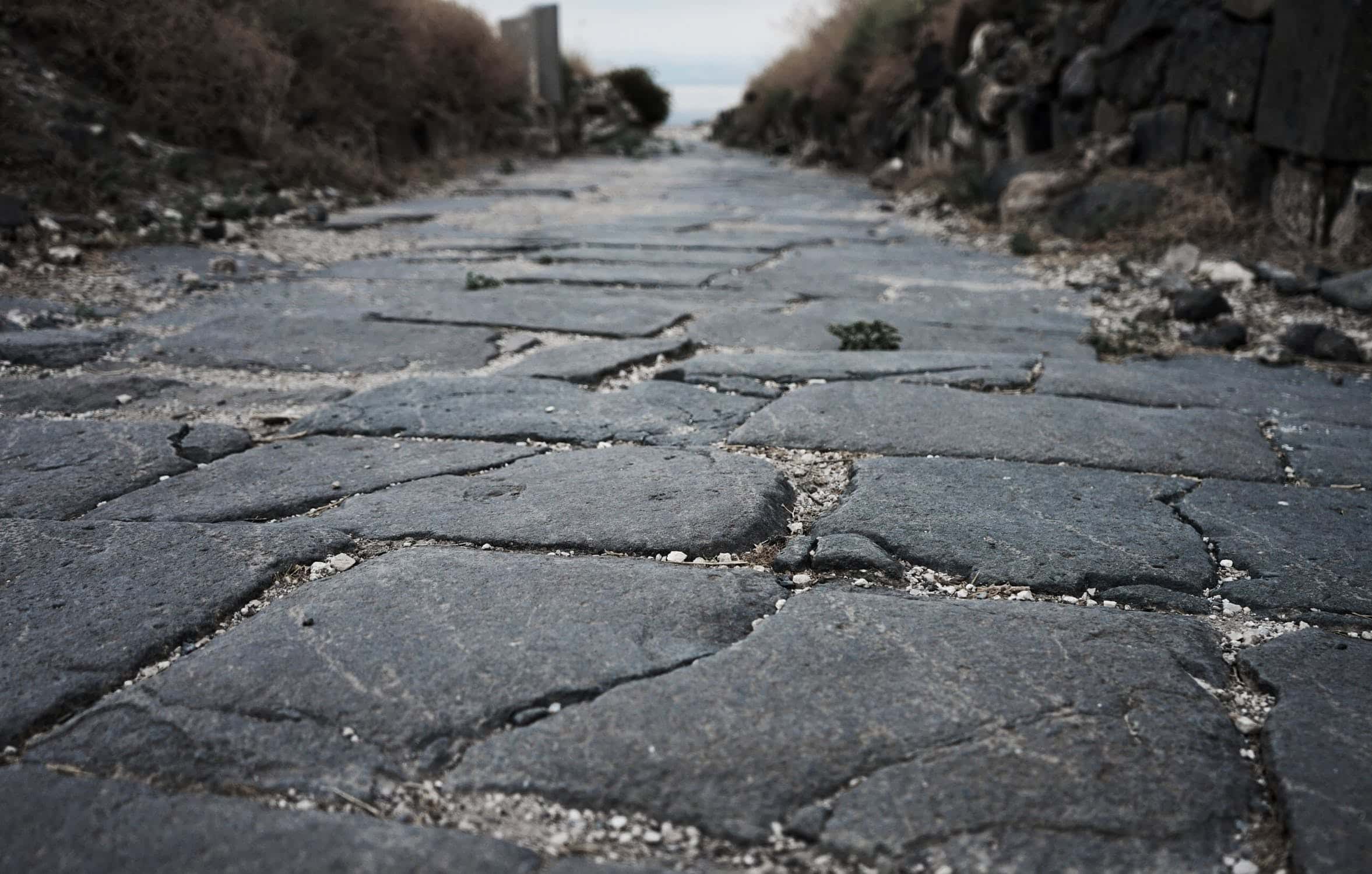 Persian Empire Facts