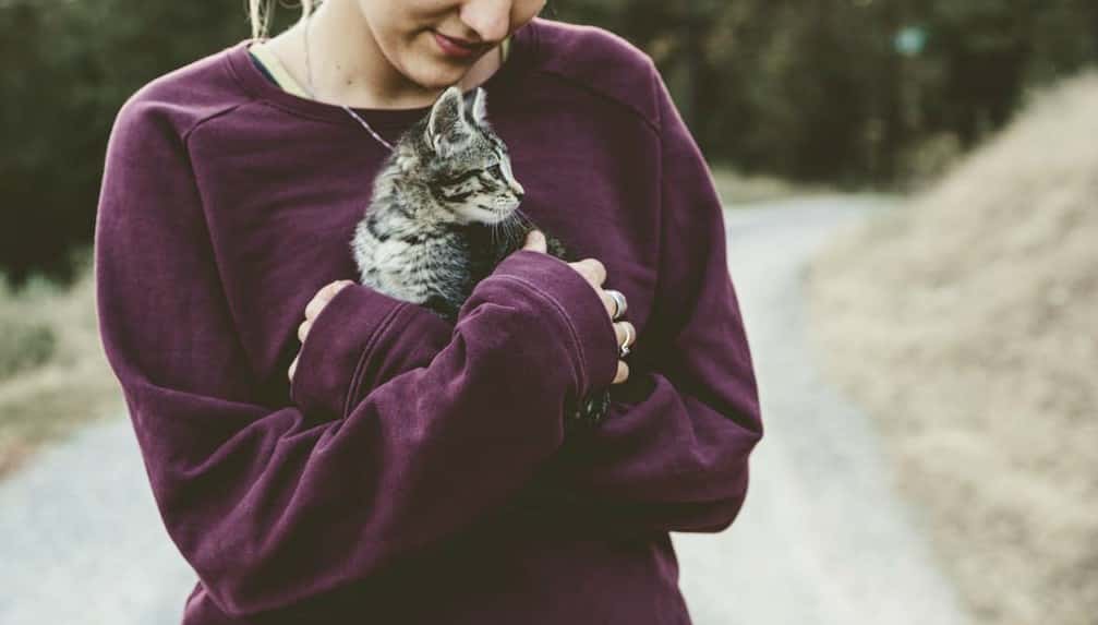 Anne Frank House Bookcase