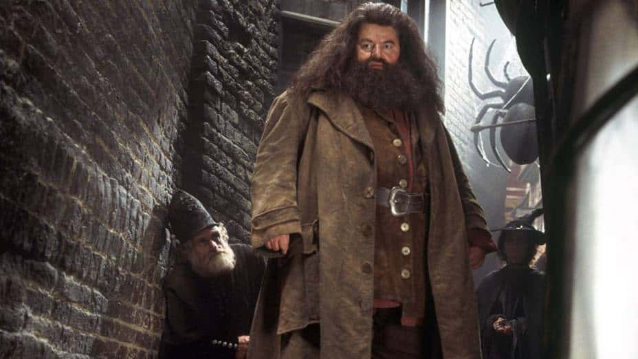 Rubeus Hagrid Facts