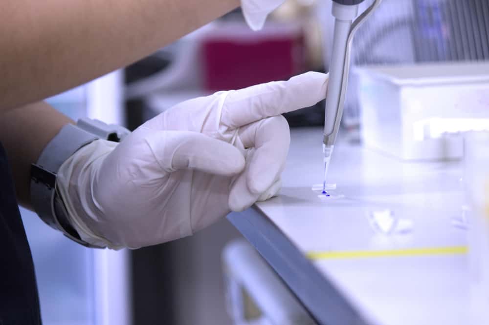 The Third Reich Facts