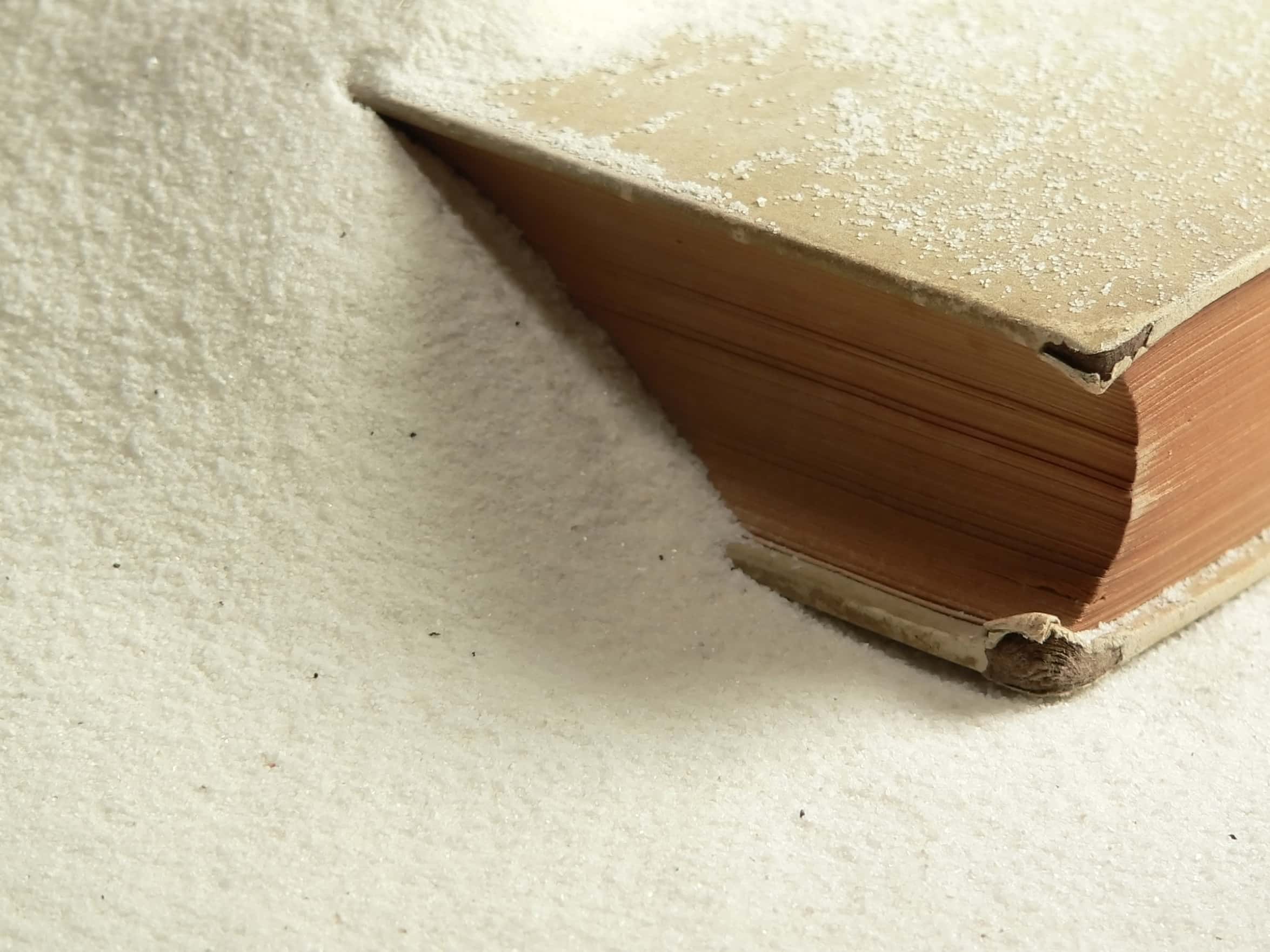 Bizarre History Facts