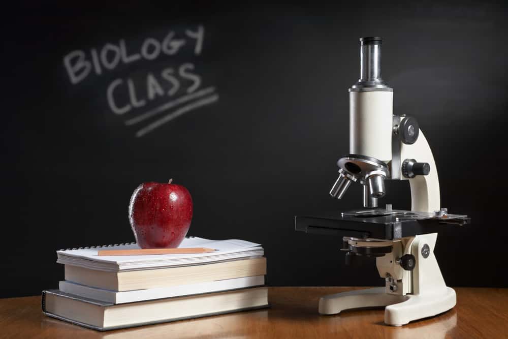 The Third Reich Facts