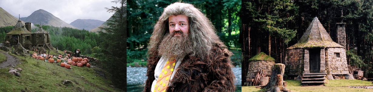 Rubeus Hagrid Facts