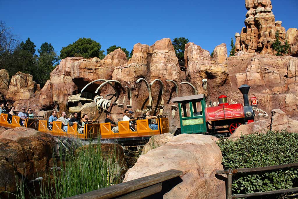 Disneyland And Walt Disney World facts