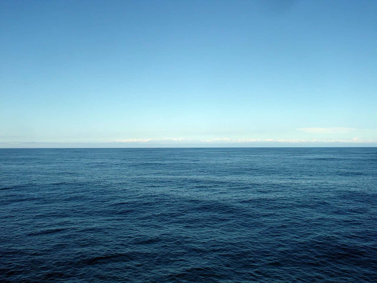 Mysterious Disappearances facts