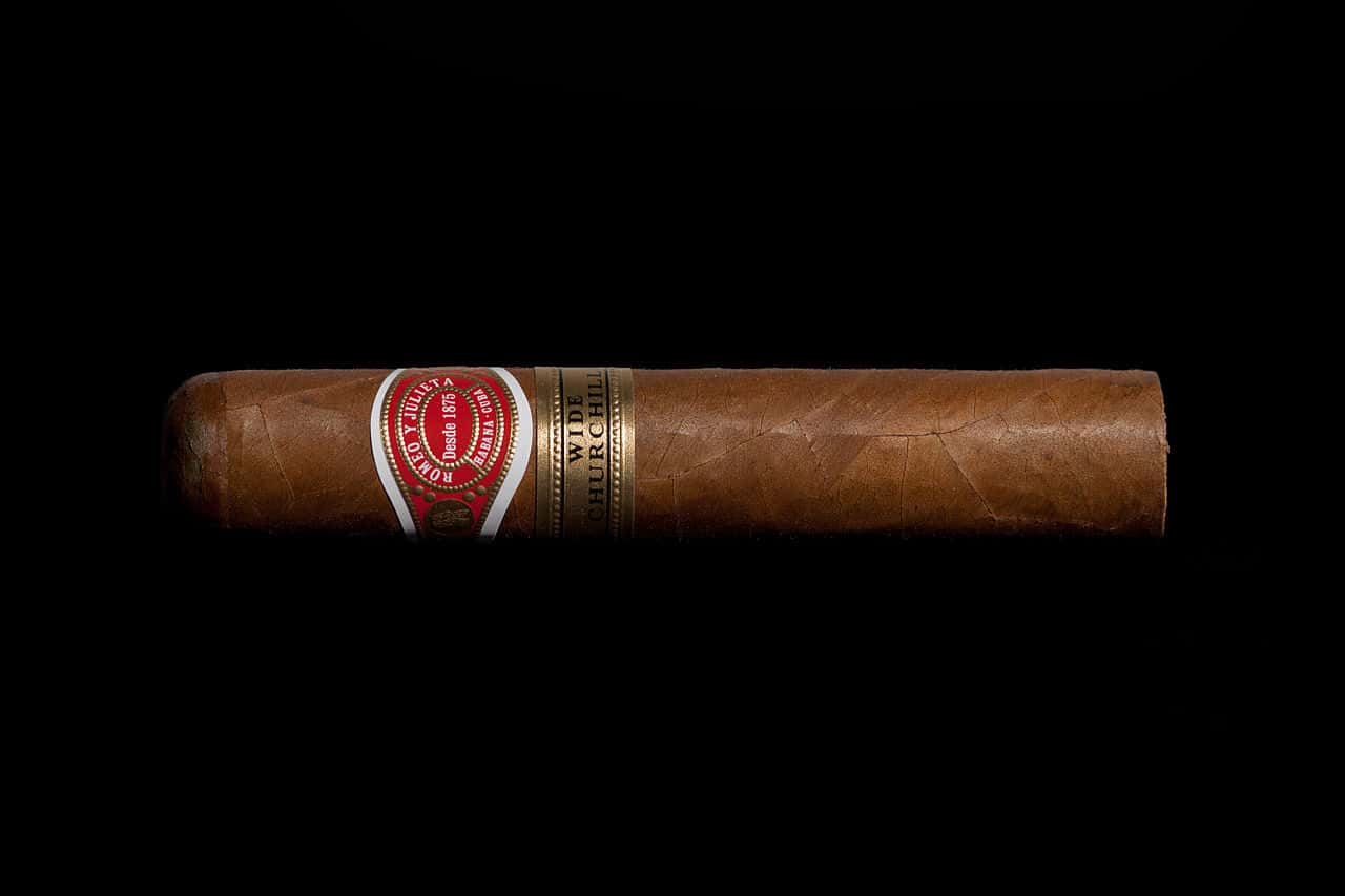 Winston Churchill facts