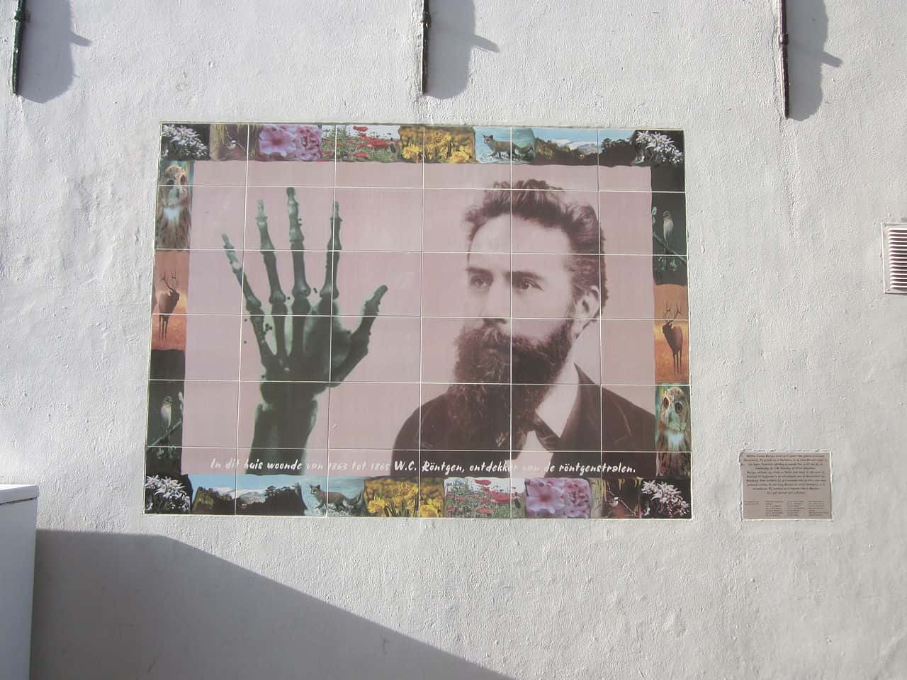 Accidental Discoveries Facts