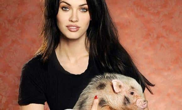 Megan Fox Facts