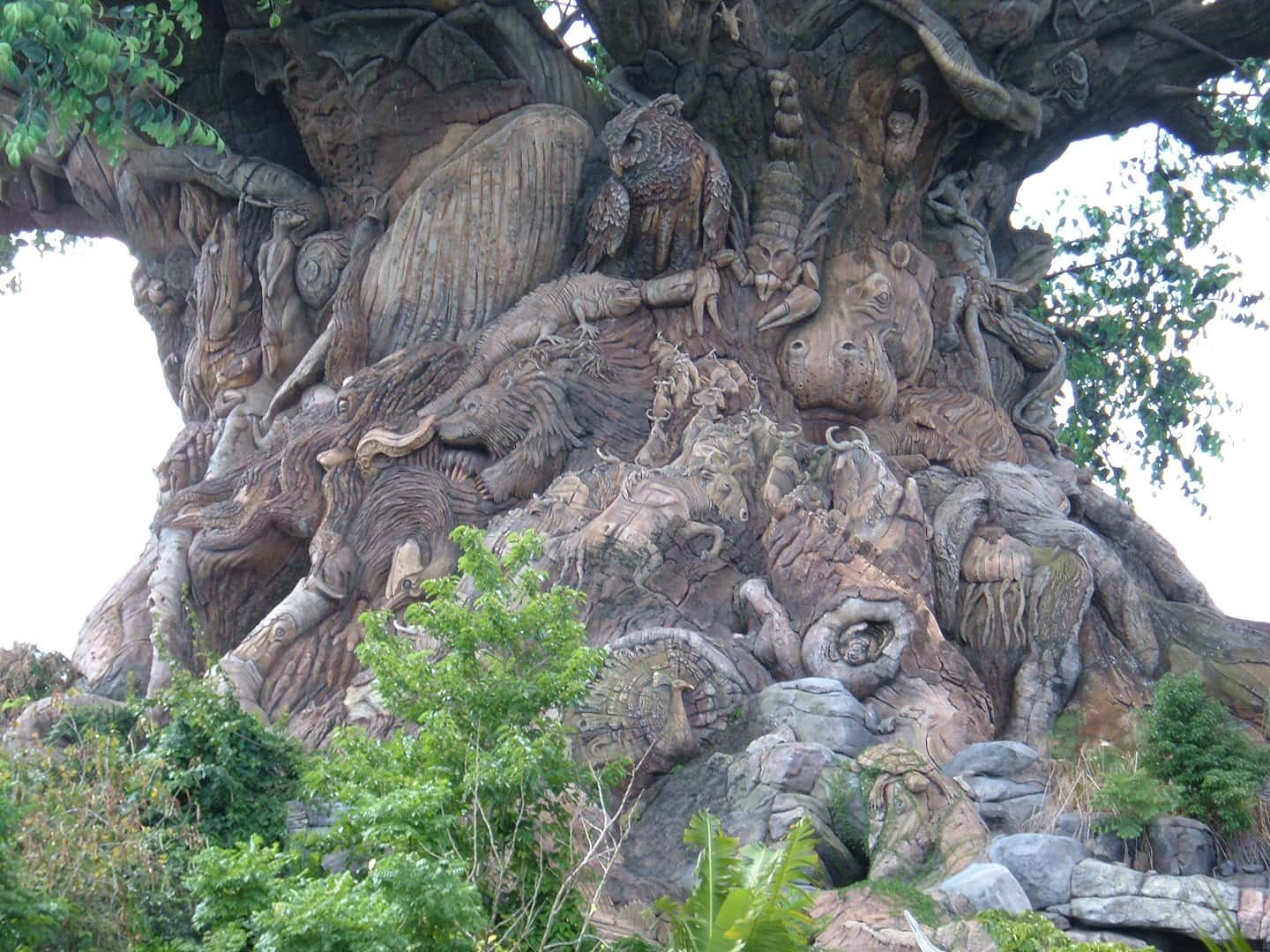 Disneyland And Walt Disney World facts