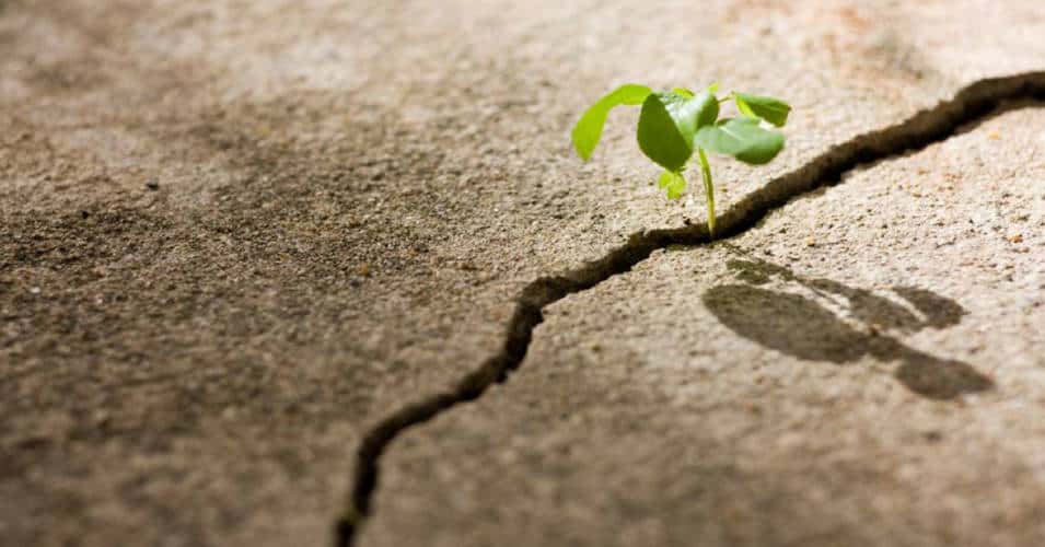 success and happiness facts