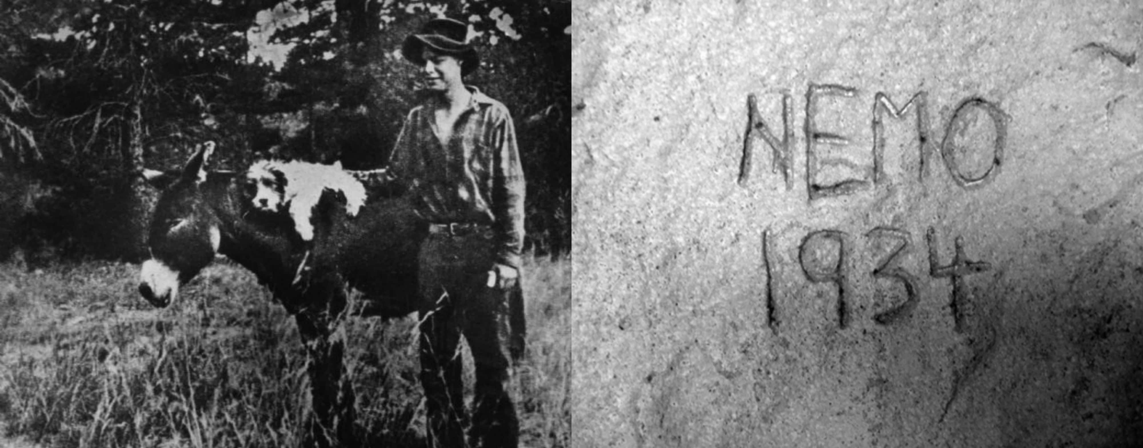 Mysterious Disappearances facts