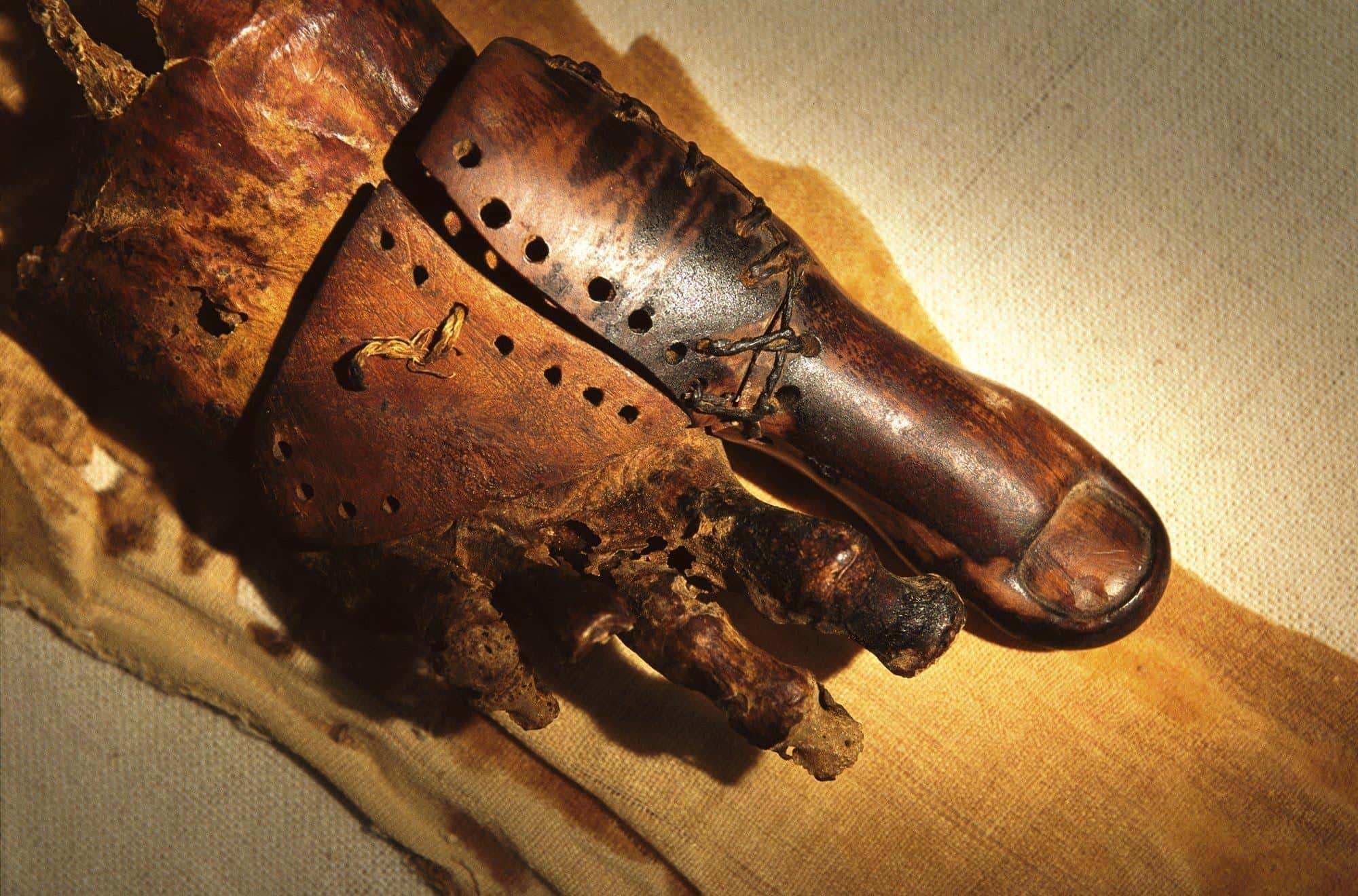 Hardcore Soldiers facts