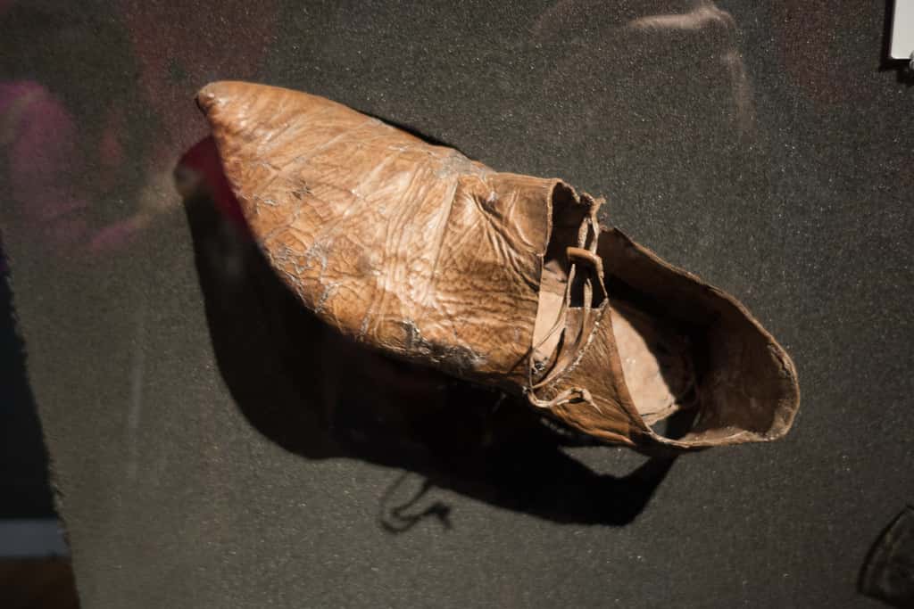 History's Upper Class facts